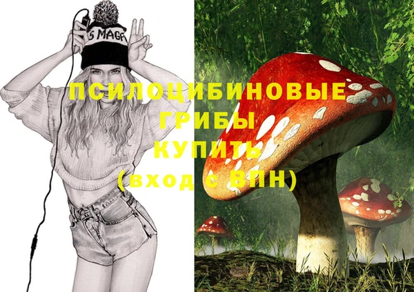 MESCALINE Аркадак
