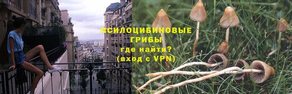 apvp Армянск