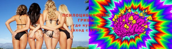 гидропоника Карпинск