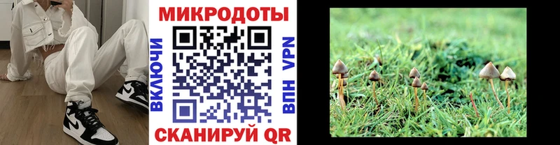 omg ТОР Пудож darknet наркотические препараты Галлюциногенные грибы Magic Shrooms